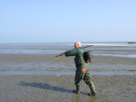 kokkels zoeken op het wad